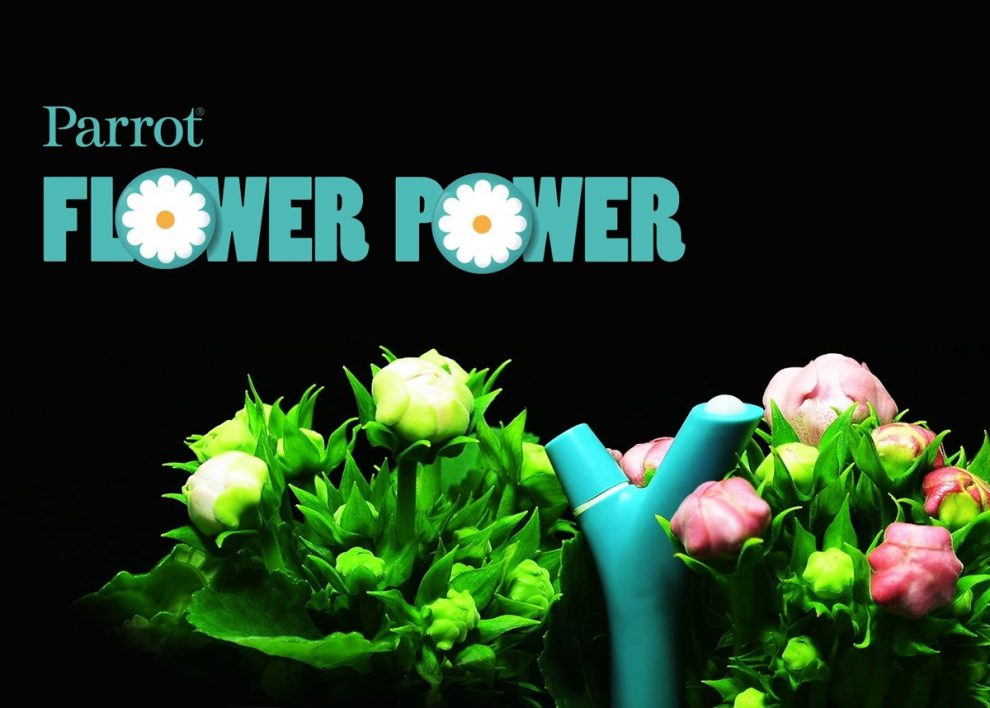 Flower Power Parrot