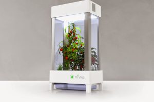 Niwa : potager connecté Kickstarter