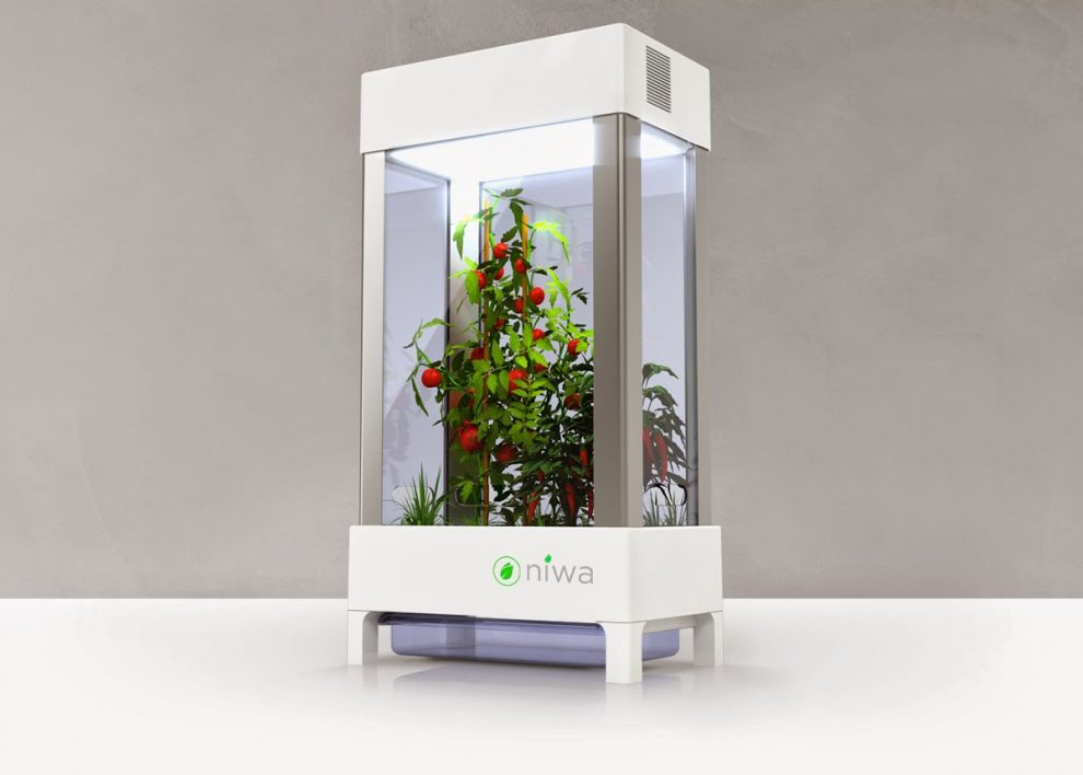 Niwa : potager connecté Kickstarter