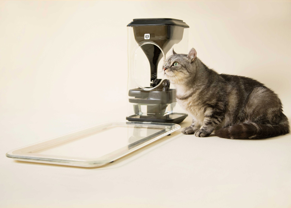 BISTRO, une gamelle connectée qui scanne votre chat...