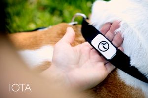 Iota, un réseau d'objets connectés sur Kickstarter