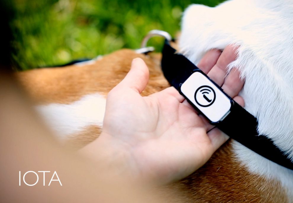 Iota, un réseau d'objets connectés sur Kickstarter