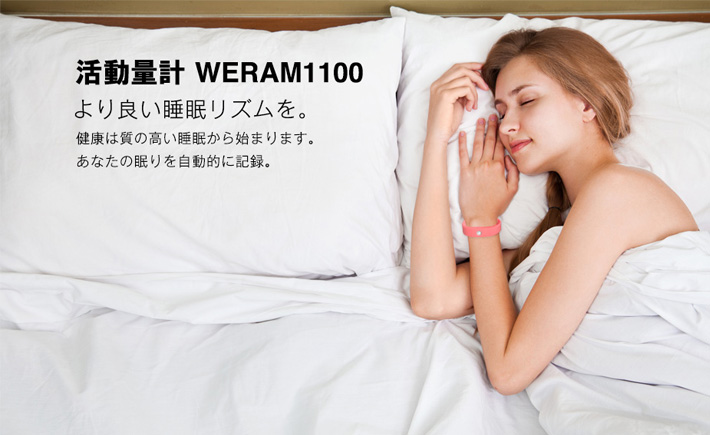 WERAM 1100 Toshiba