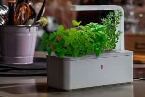 Smart Herb Garden