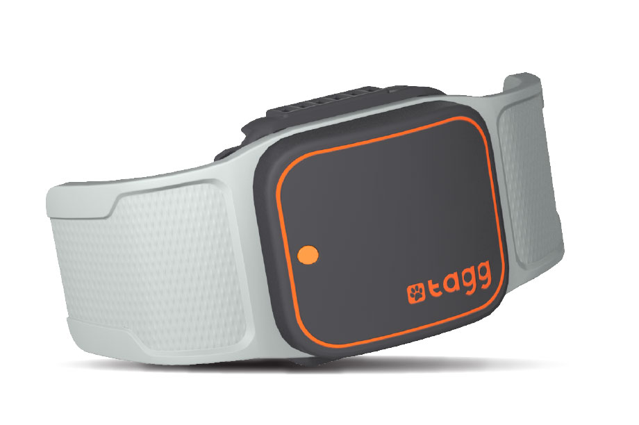 Tagg Tracker GPS Animal