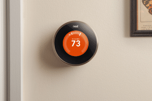 Nest Black Friday