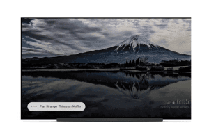 Google Assistant Android TV
