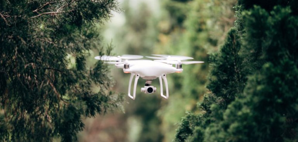 DJI Phantom 4 Advanced Forêt