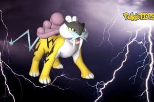 Raikou en raid