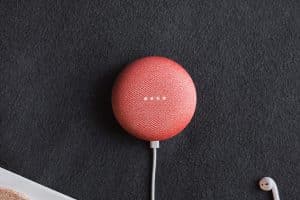 Google Home Netflix How To compatible