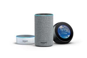 Meilleur Amazon Echo Dot Spot