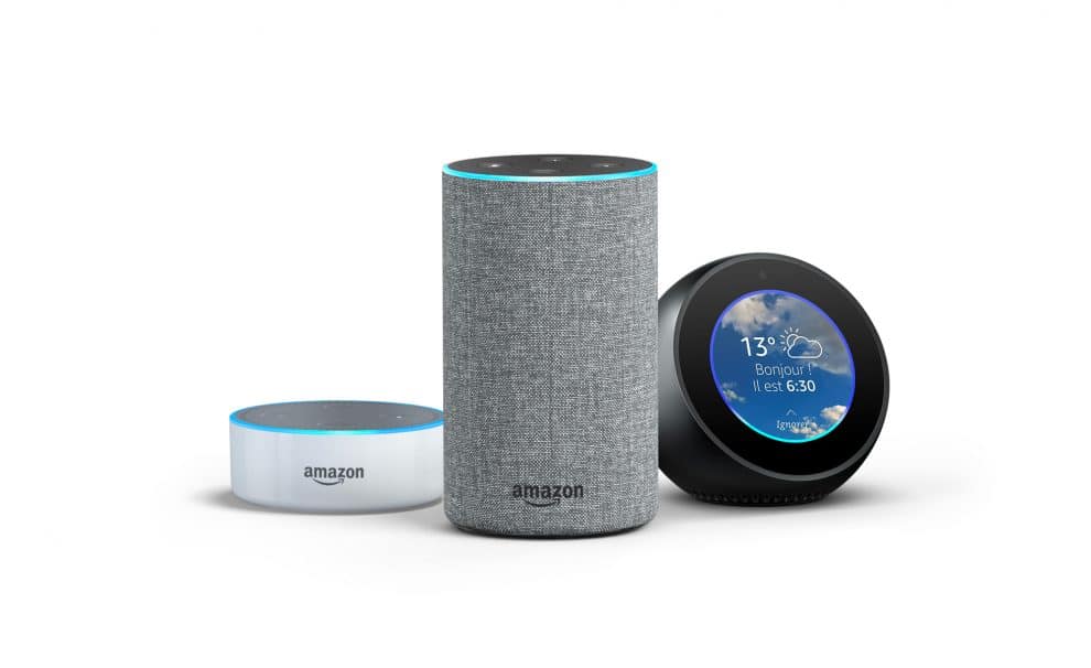 Meilleur Amazon Echo Dot Spot